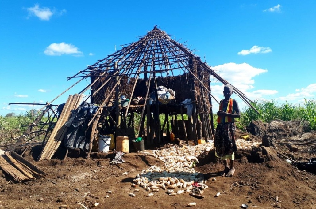 1911 mozambique amandina1