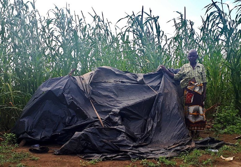 1911 mozambique amandina4