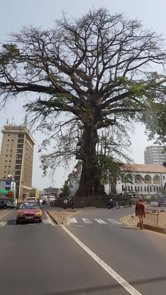 Sierra leone – blog 7 (1)