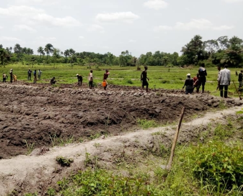 Whatsapp image 2020 05 02 at 16.57.37