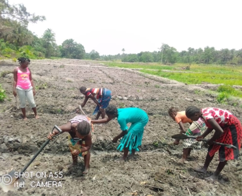 Whatsapp image 2020 05 02 at 16.59.10 (1)