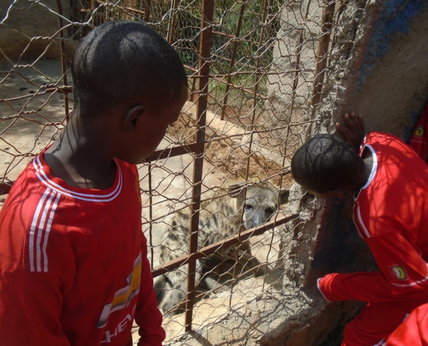 Andinet visting zoo park