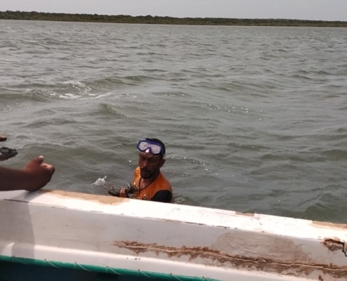 The opene consultant and qunson verifying sites for preserving breeding grounds in thevenpitty.
